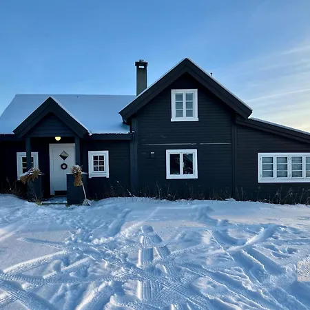 Classic Mountain With Sauna In Ustaoset Hol (Buskerud)